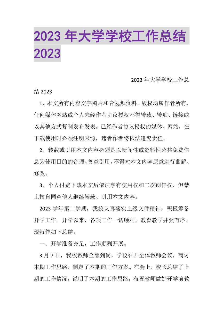 2023年大学学校工作总结.doc_第1页