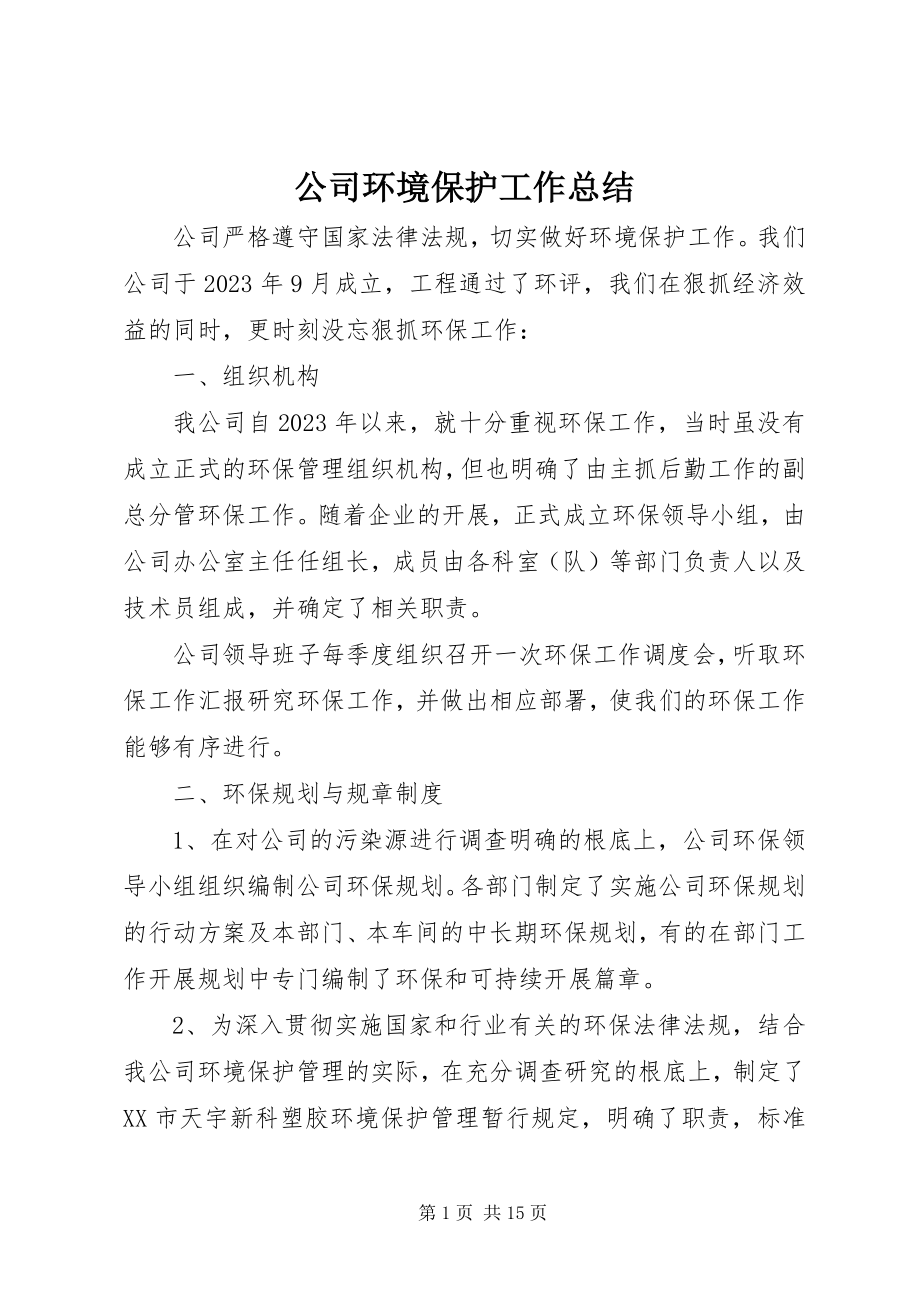 2023年公司环境保护工作总结.docx_第1页