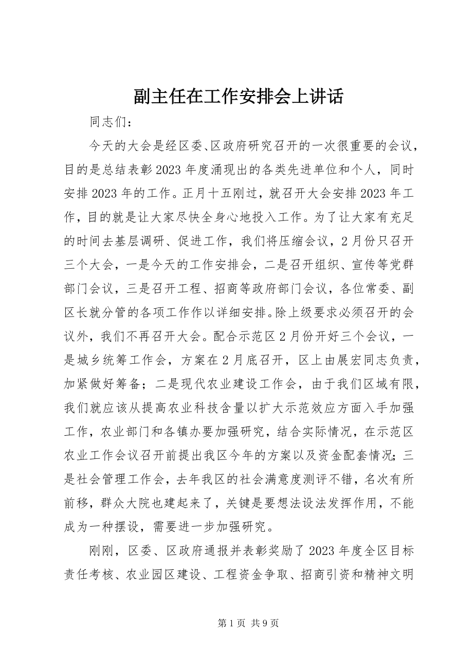 2023年副主任在工作安排会上致辞.docx_第1页