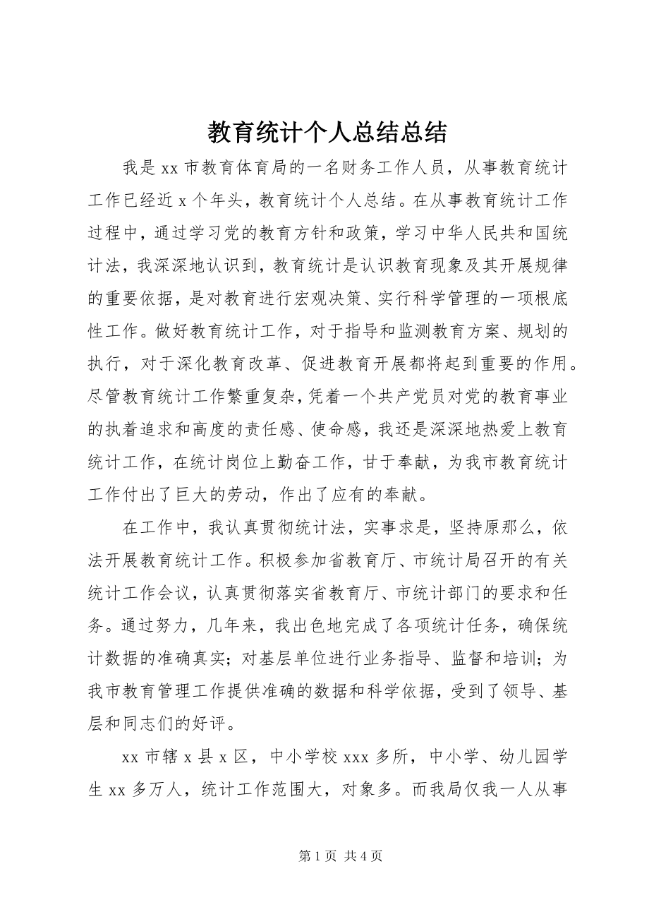 2023年教育统计个人总结总结.docx_第1页