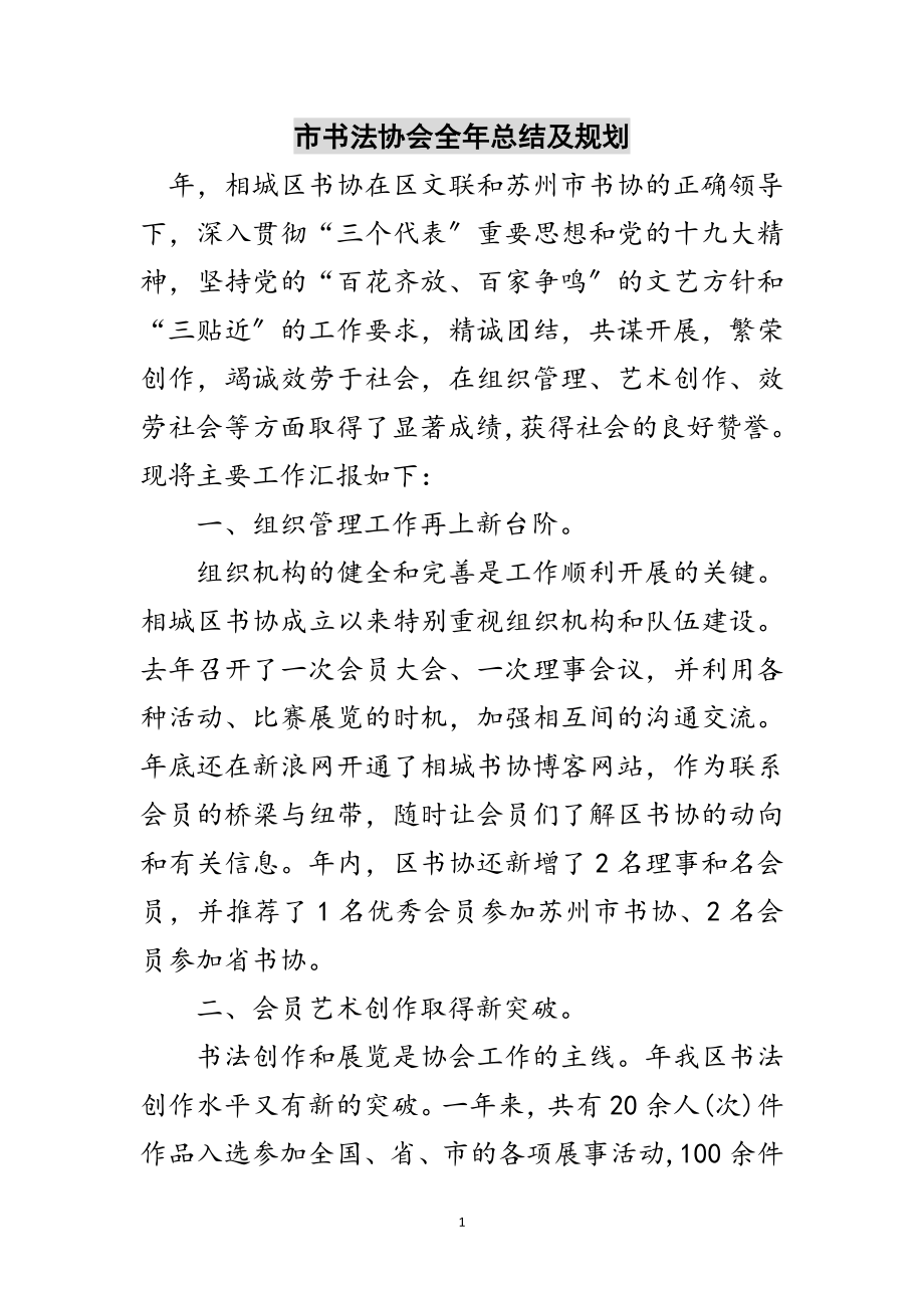 2023年市书法协会全年总结及规划范文.doc_第1页