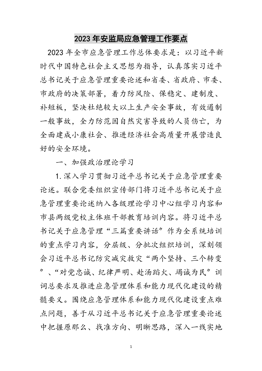 2023年年安监局应急管理工作要点范文.doc_第1页