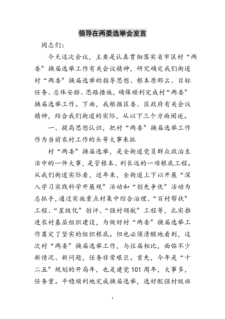 2023年领导在两委选举会发言范文.doc_第1页