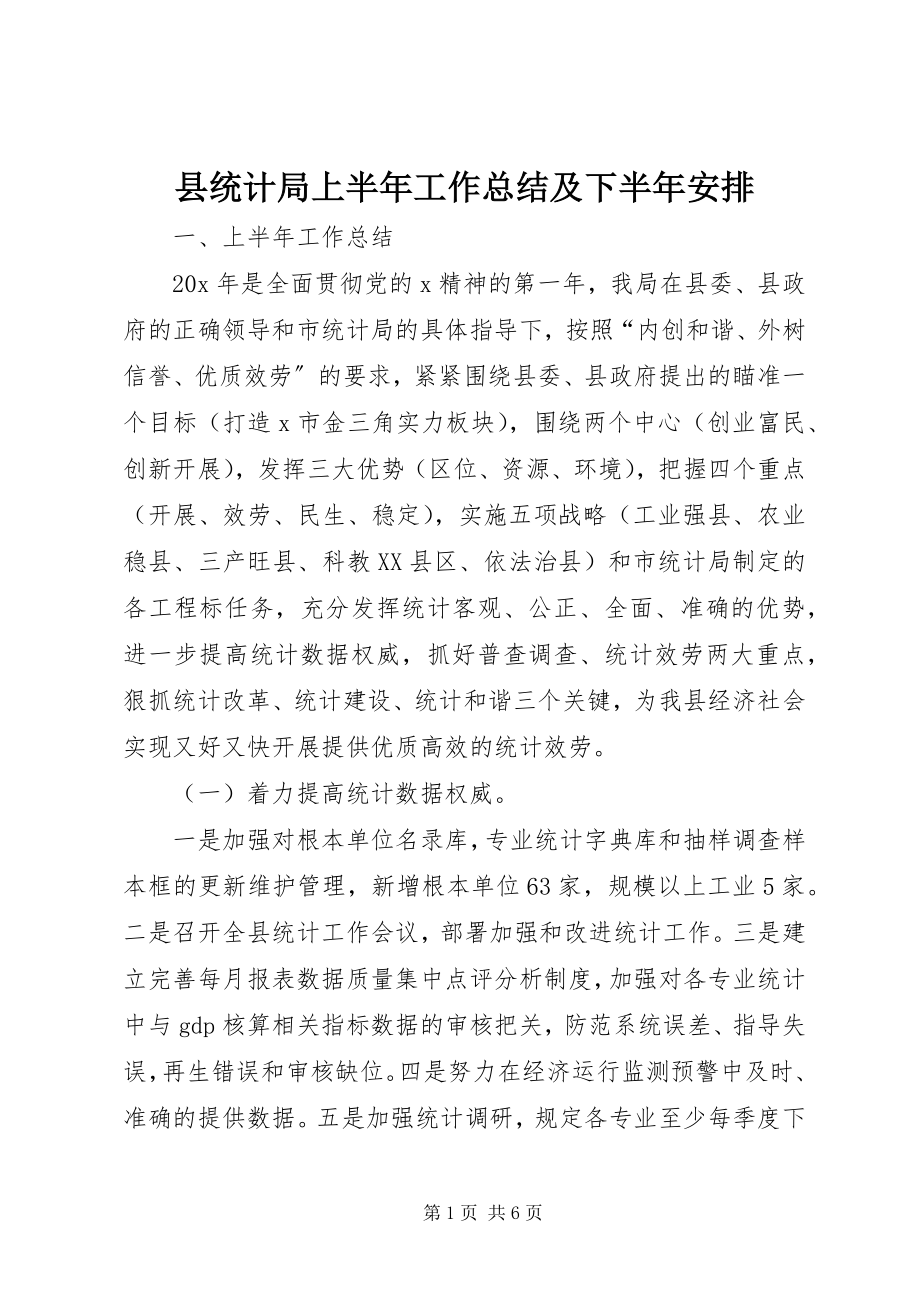 2023年县统计局上半年工作总结及下半年安排.docx_第1页