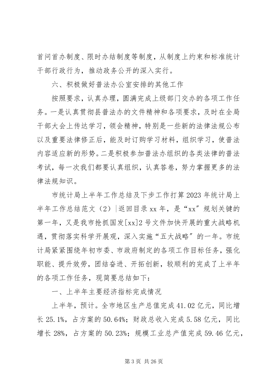 2023年统计局上半年工作总结4篇.docx_第3页