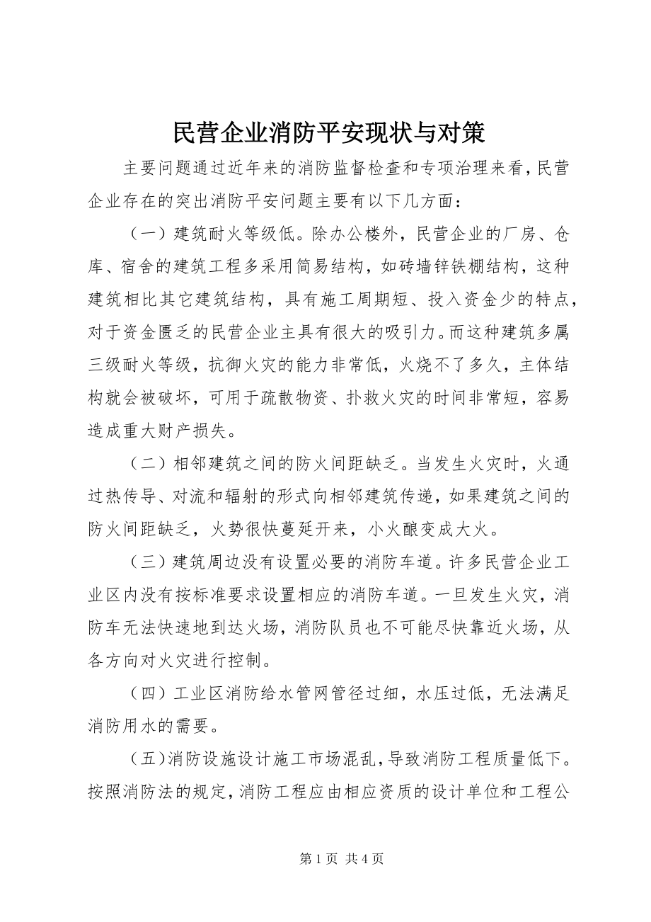 2023年民营企业消防安全现状与对策.docx_第1页