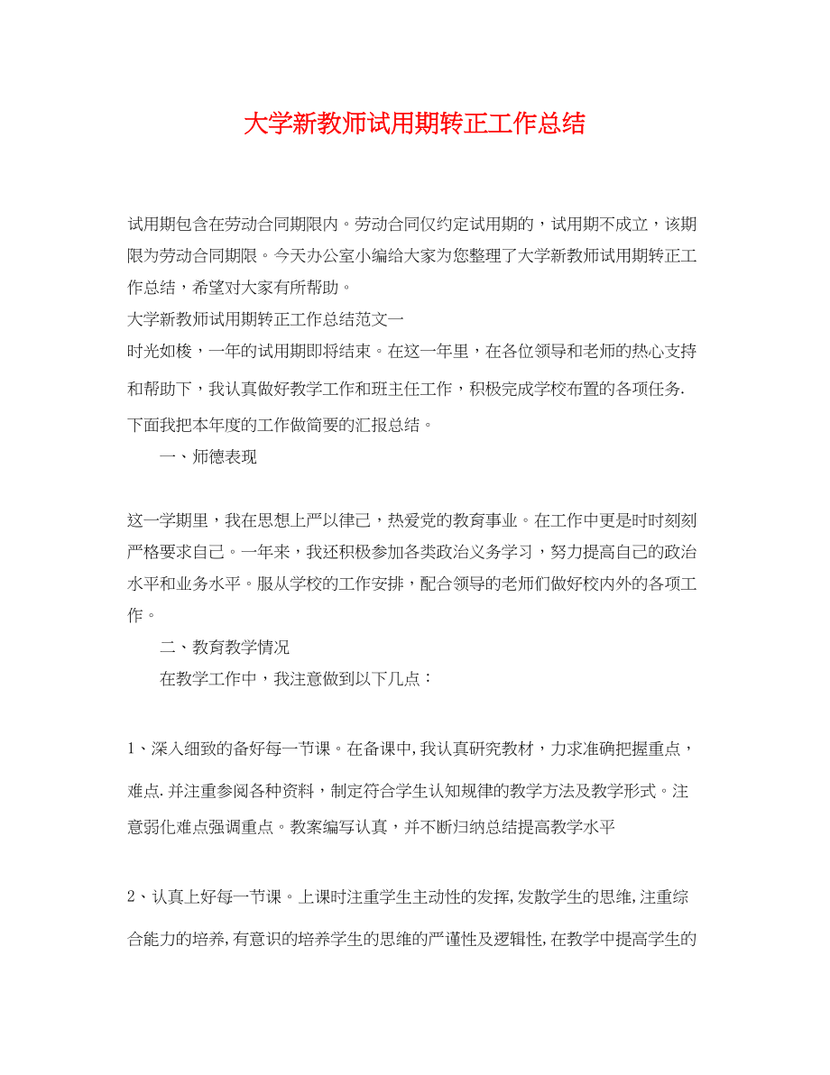 2023年大学新教师试用期转正工作总结.docx_第1页