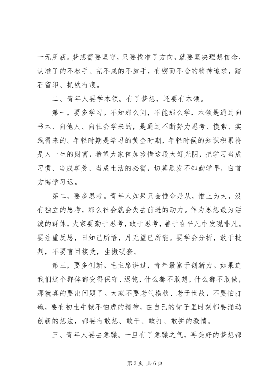 2023年共青团全委会市委副书记致辞.docx_第3页