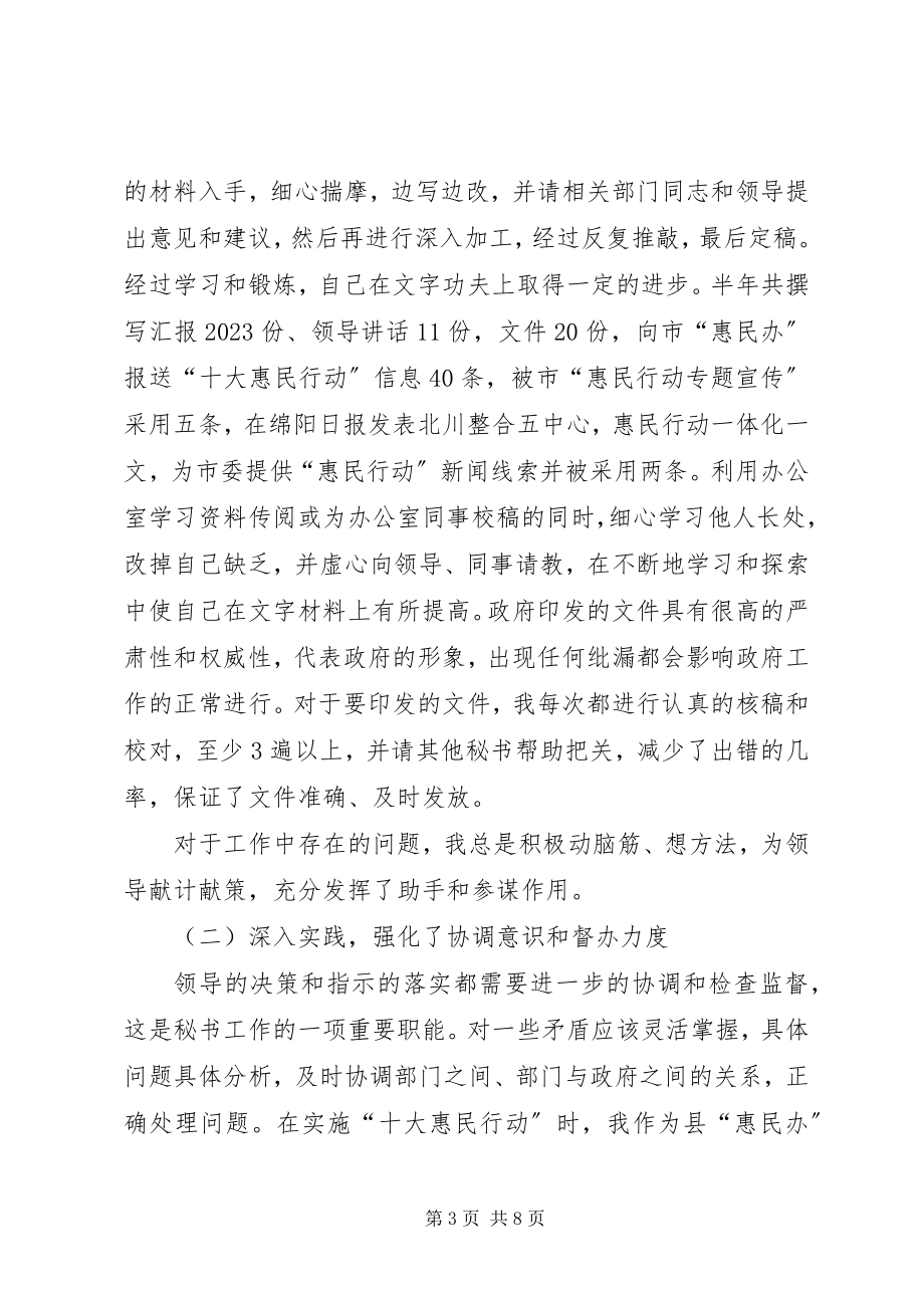 2023年区政府秘书个人年终总结2.docx_第3页