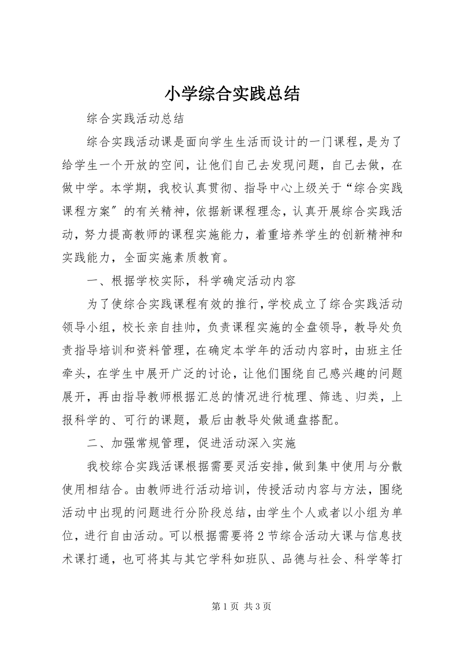 2023年小学综合实践总结.docx_第1页