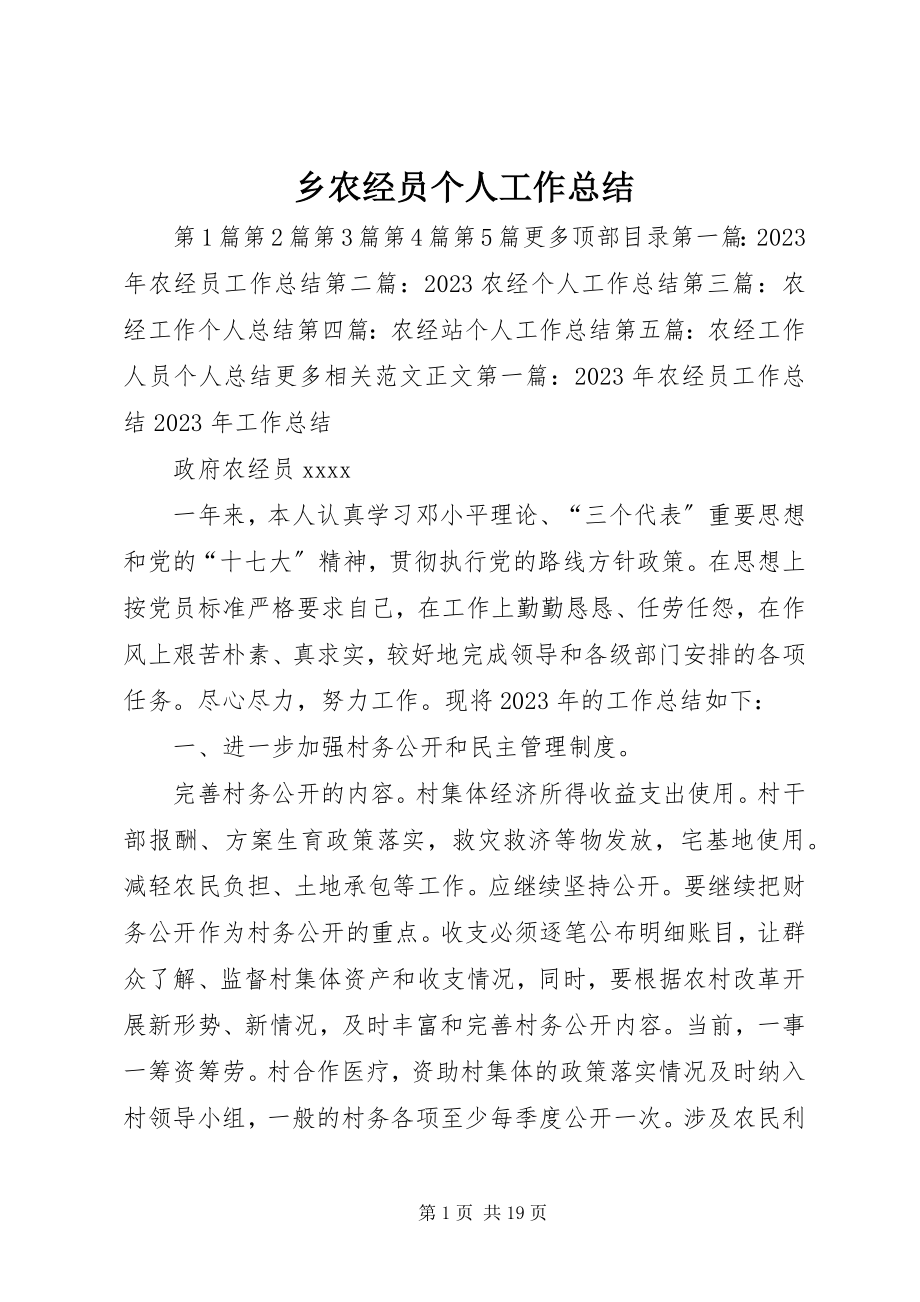 2023年乡农经员个人工作总结.docx_第1页