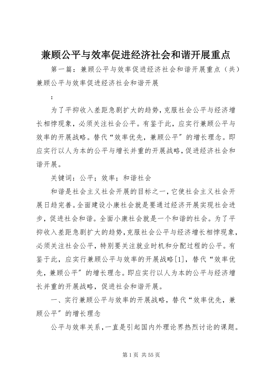 2023年兼顾公平与效率促进经济社会和谐发展重点.docx_第1页