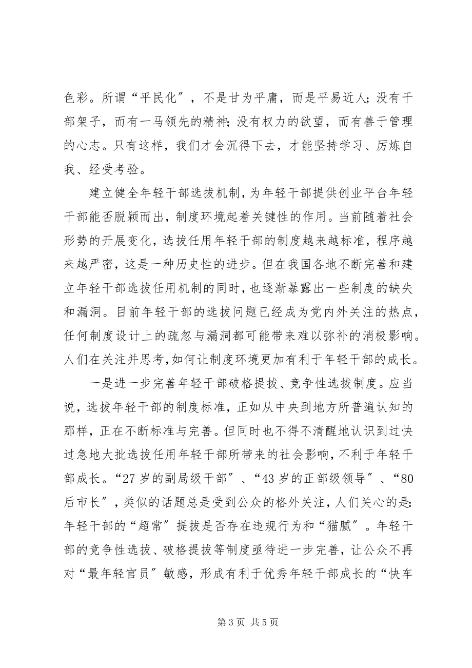 2023年市年轻干部队伍建设经验交流材料.docx_第3页