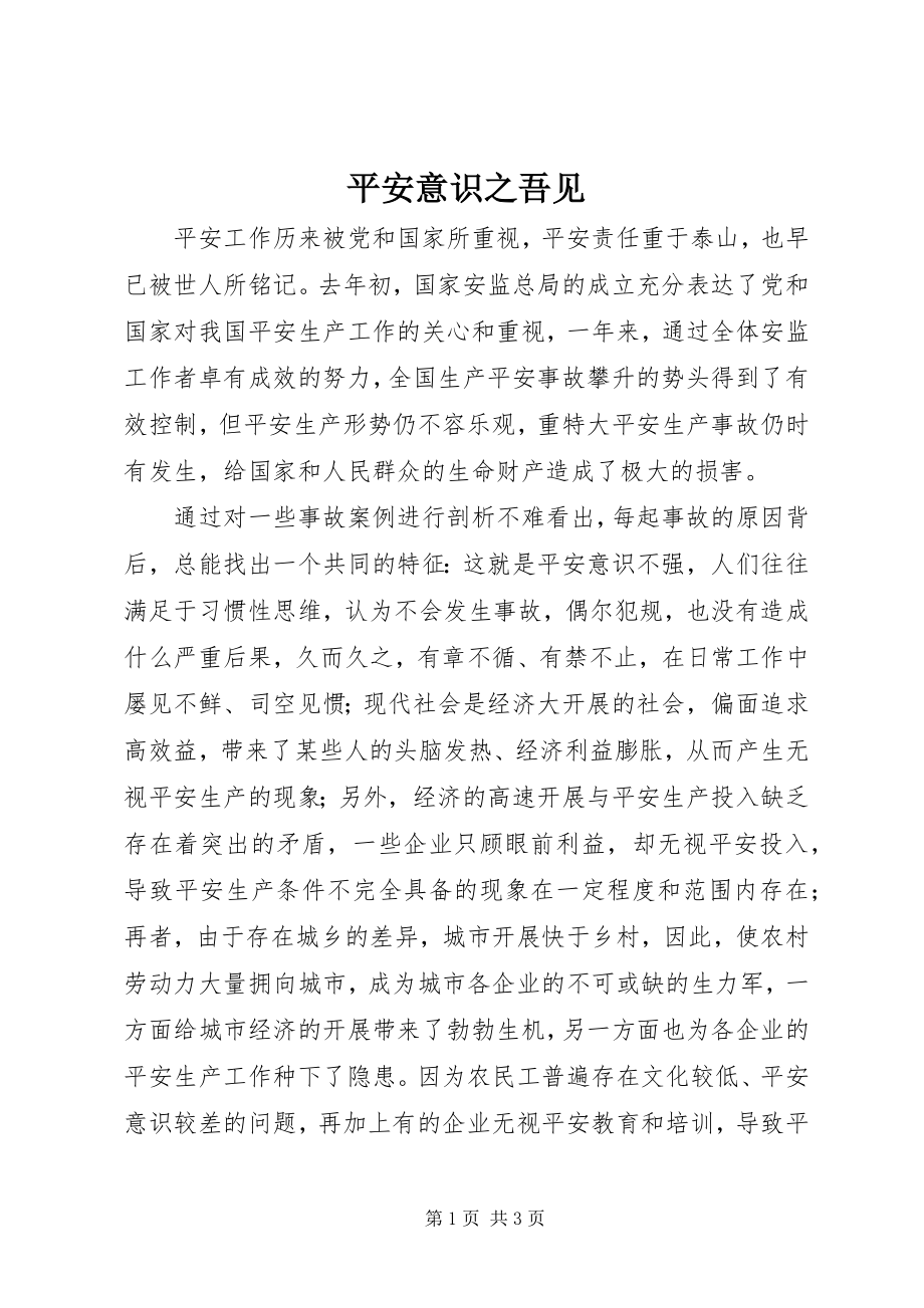 2023年安全意识之吾见新编.docx_第1页