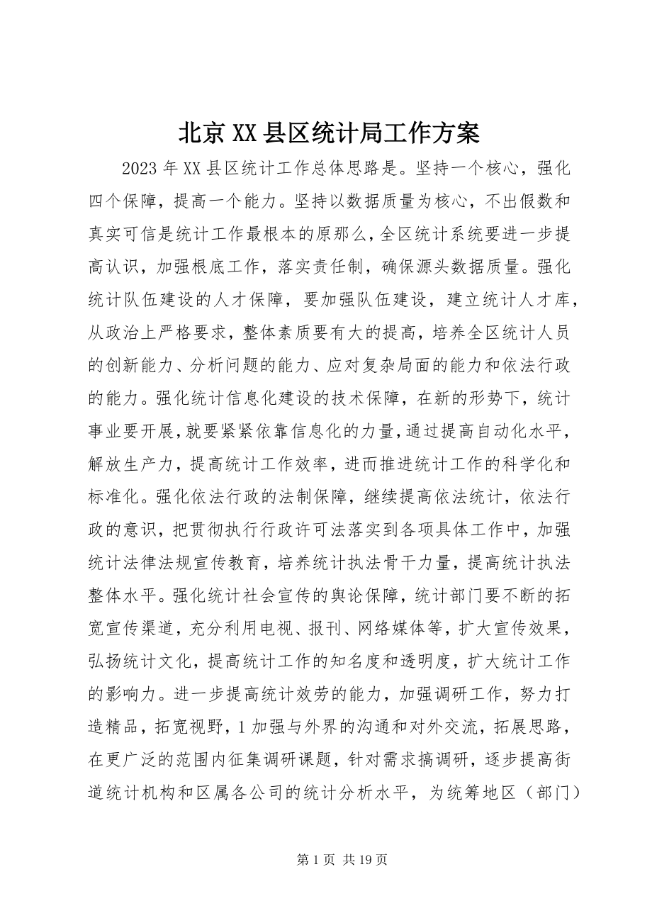 2023年北京XX县区统计局工作计划新编.docx_第1页