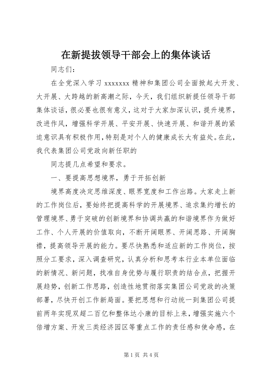 2023年在新提拔领导干部会上的集体谈话.docx_第1页