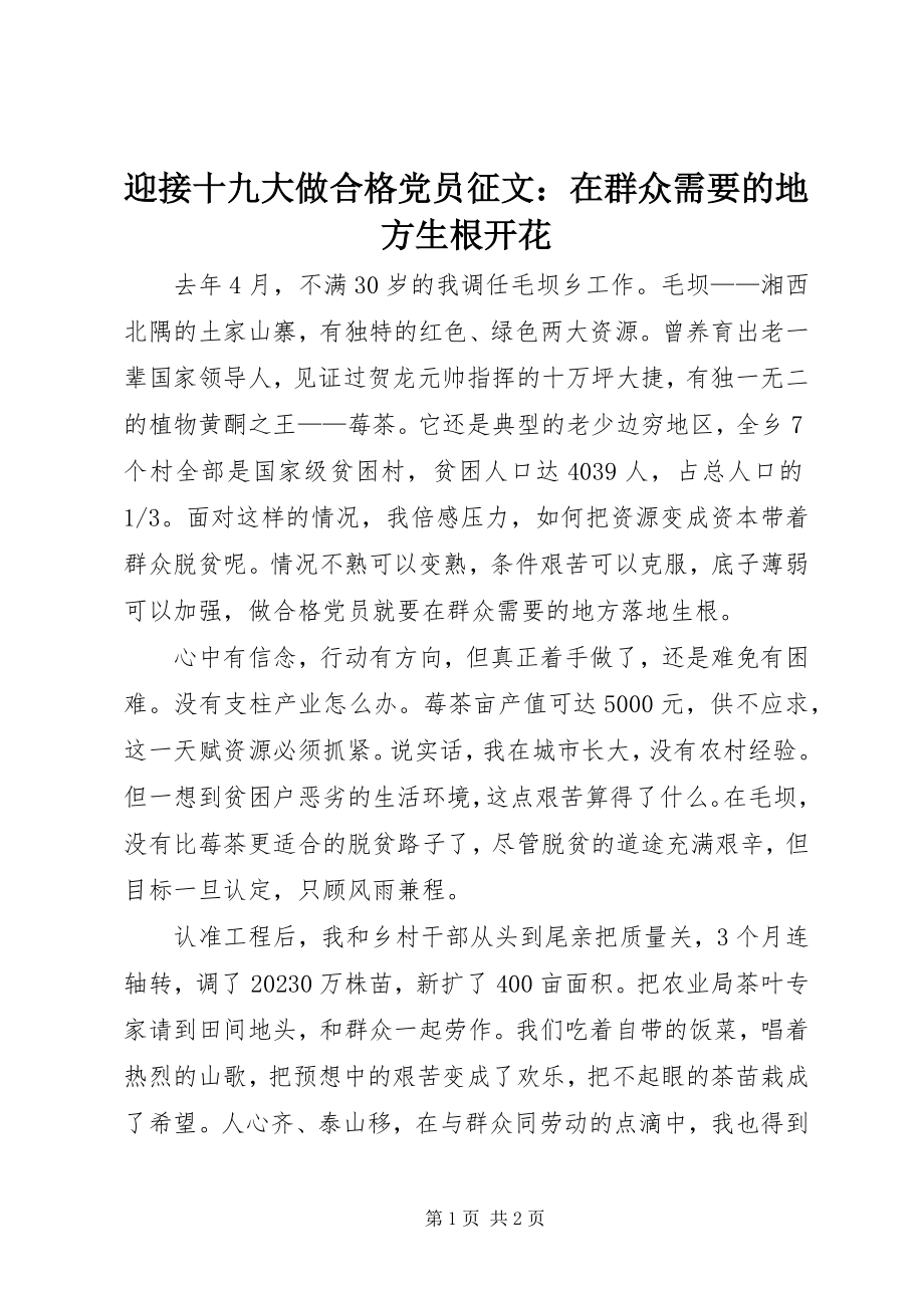 2023年迎接十九大做合格党员征文在群众需要的地方生根开花.docx_第1页