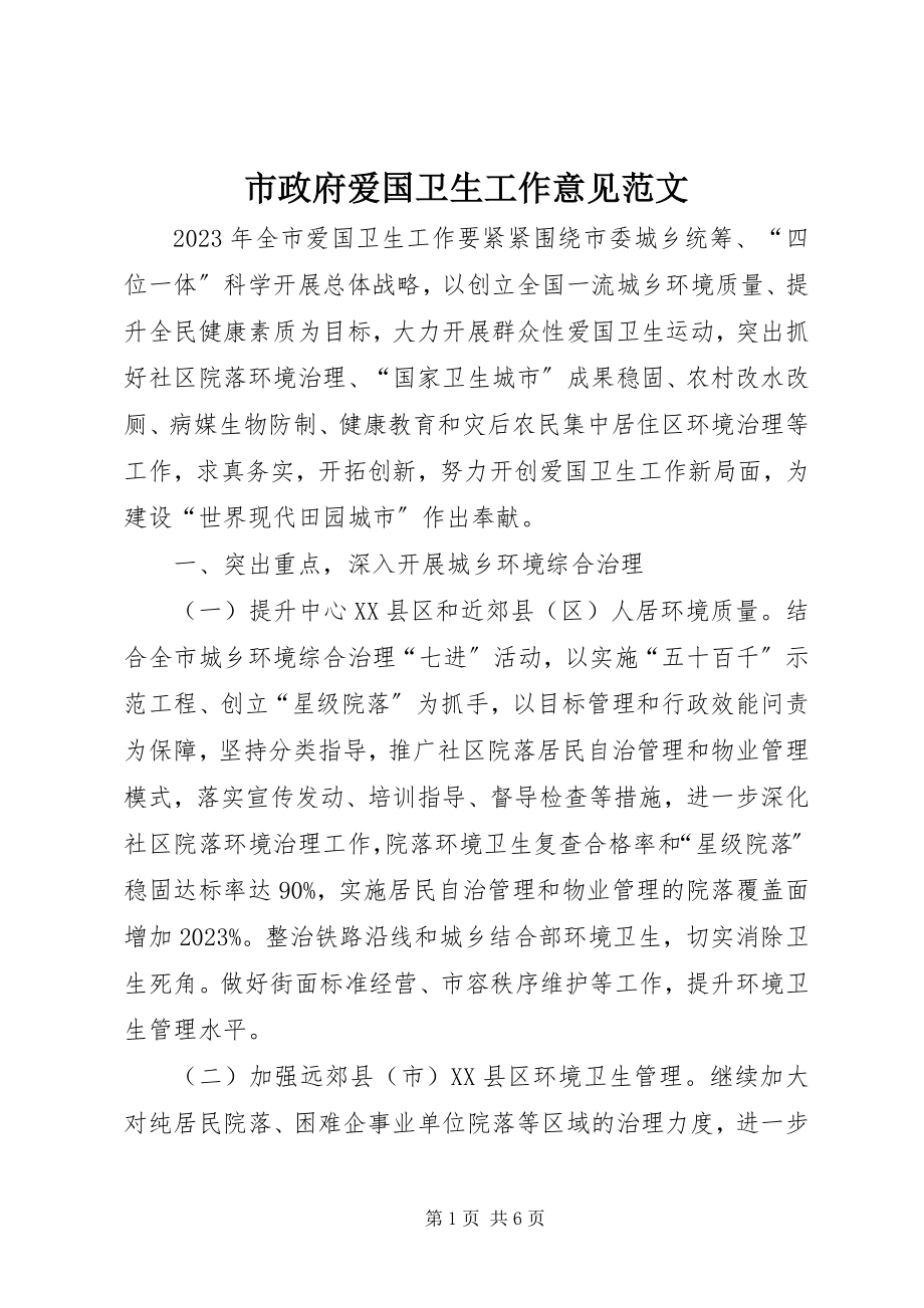 2023年市政府爱国卫生工作意见.docx_第1页