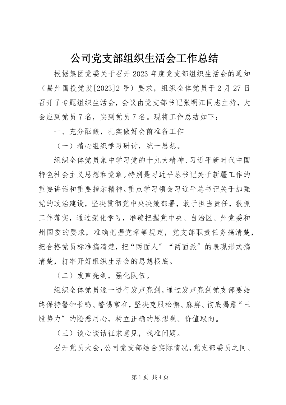 2023年公司党支部组织生活会工作总结.docx_第1页