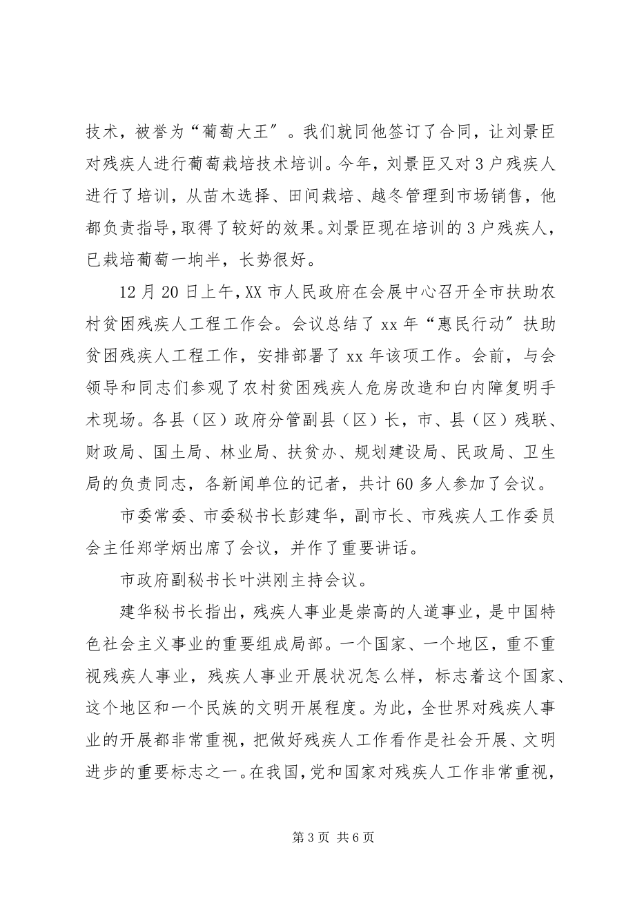 2023年残疾人扶贫工作总结新编.docx_第3页