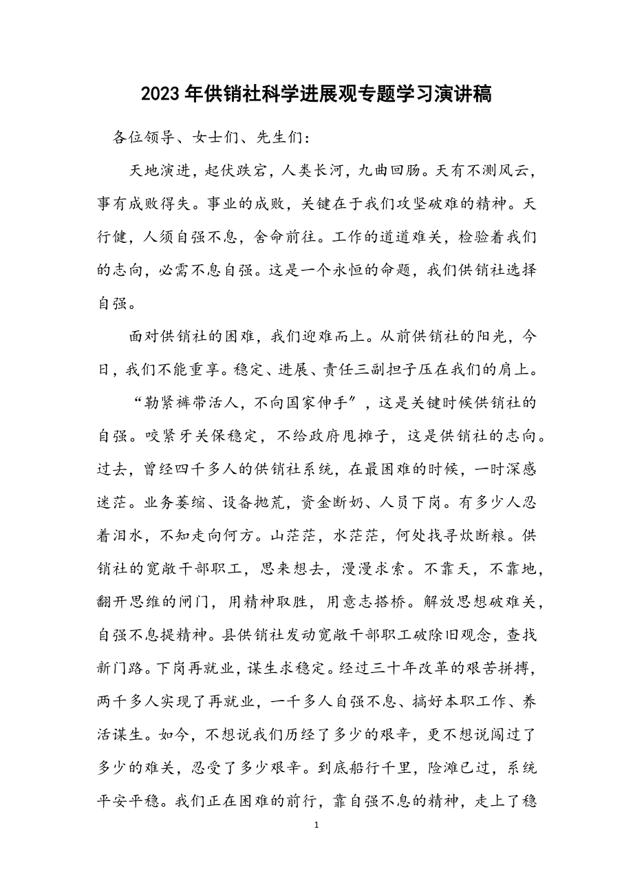 2023年供销社科学发展观专题学习演讲稿.docx_第1页