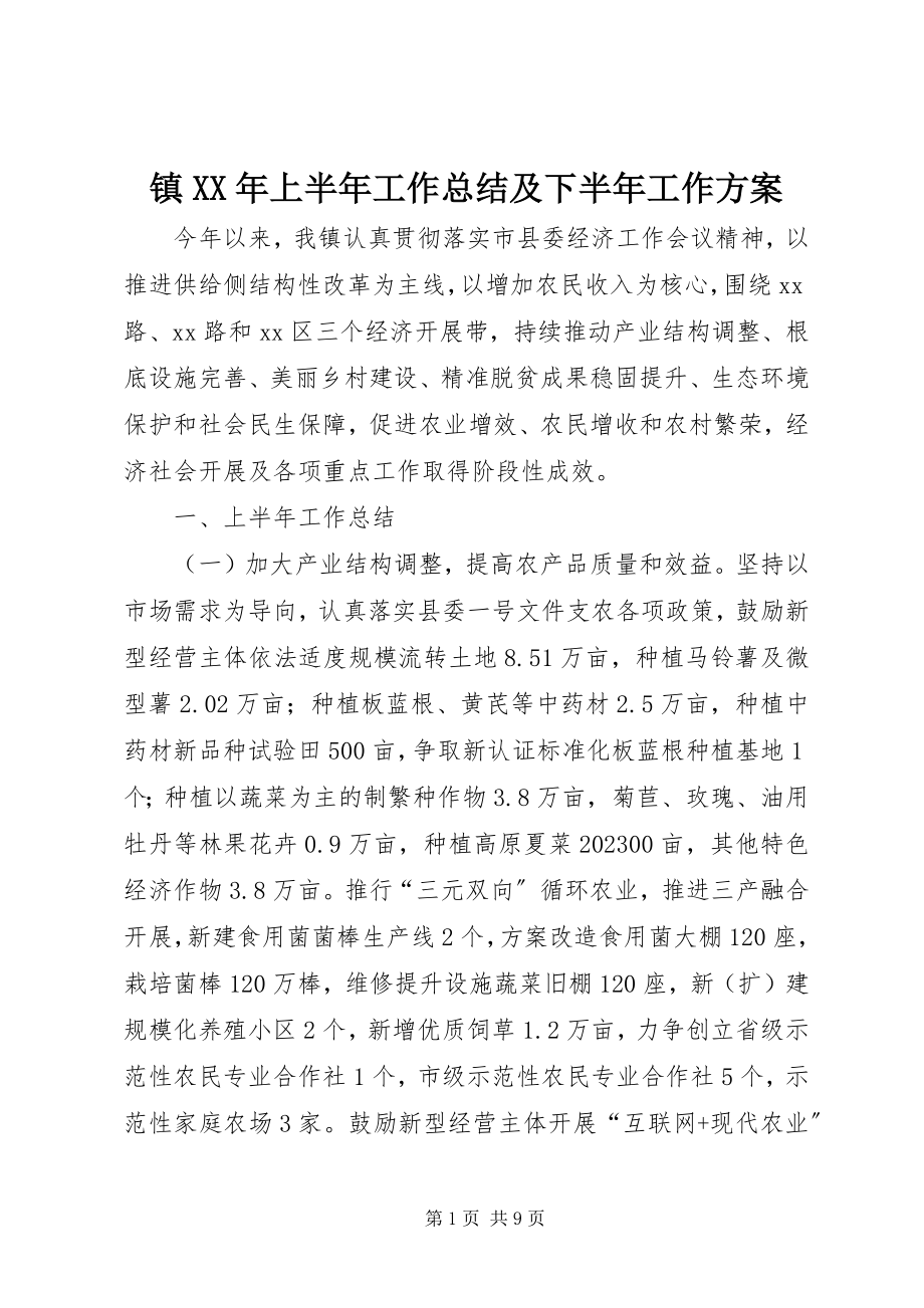 2023年镇上半年工作总结及下半年工作计划2.docx_第1页