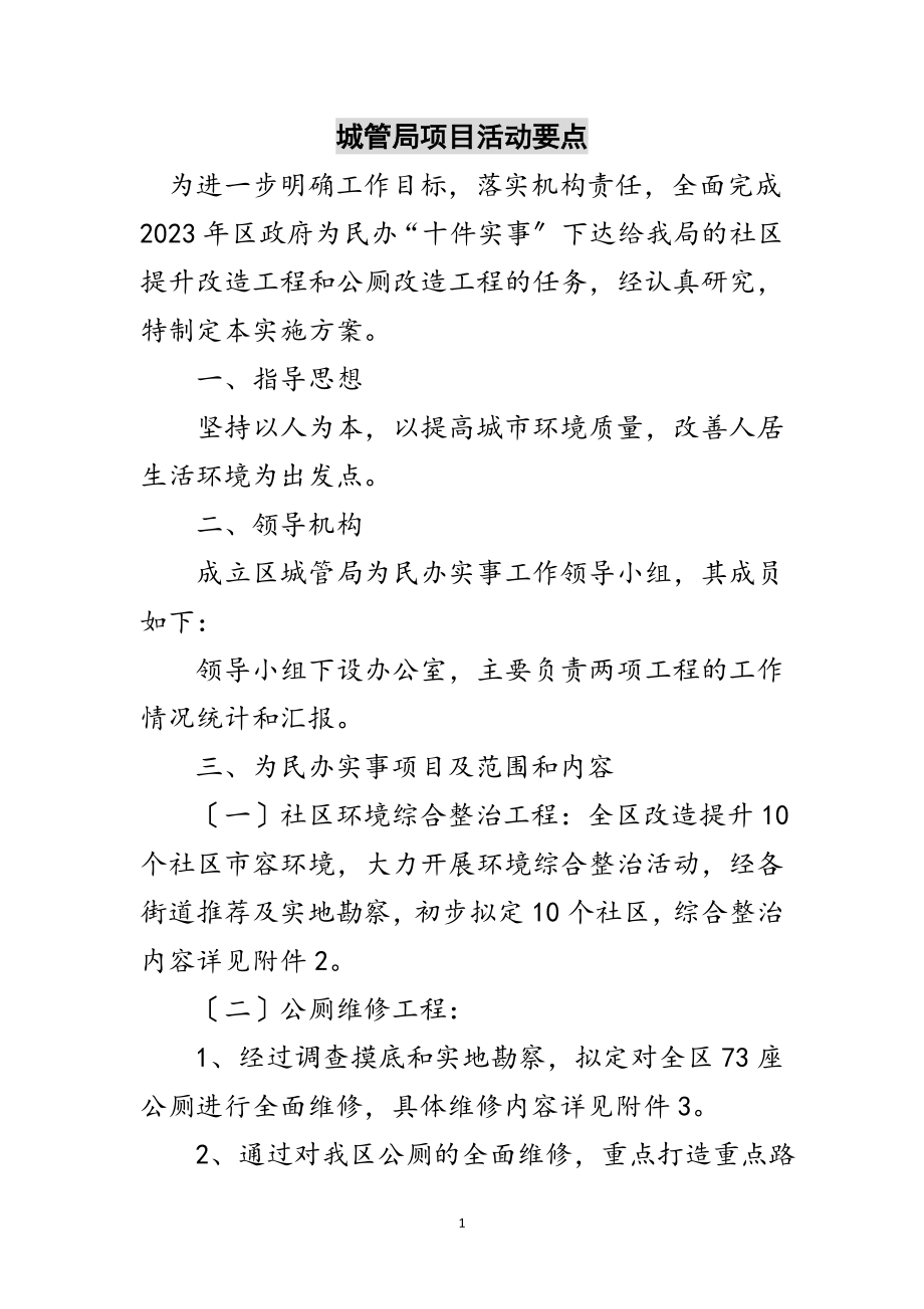 2023年城管局项目活动要点范文.doc_第1页