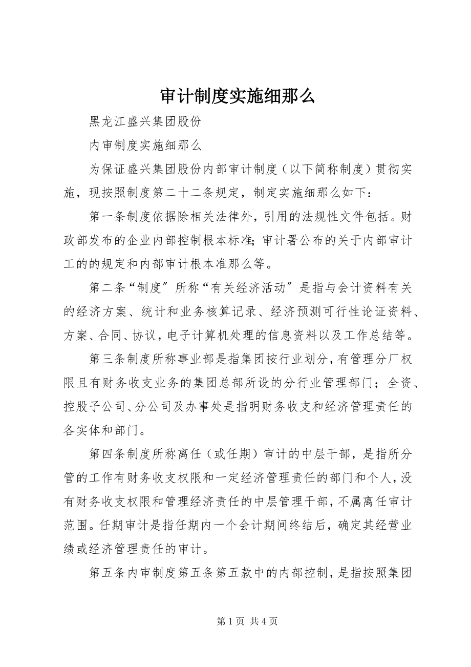 2023年审计制度实施细则.docx_第1页