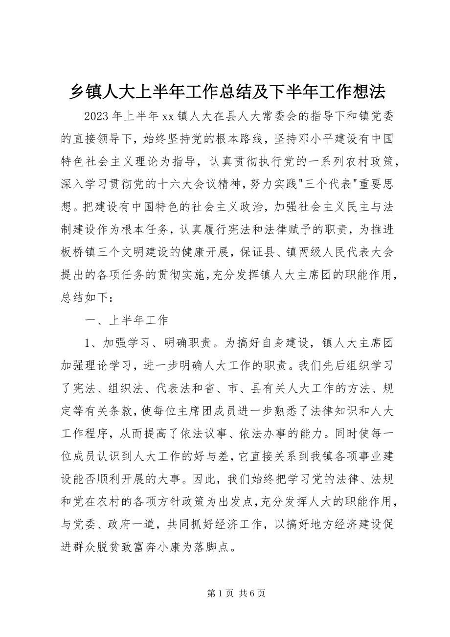 2023年乡镇人大上半年工作总结及下半年工作想法.docx_第1页