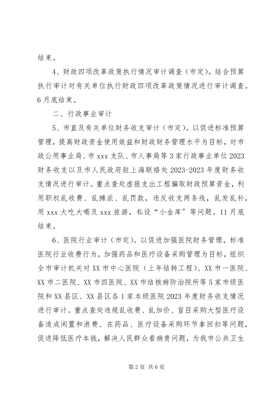 2023年医院审计工作计划.docx_第2页