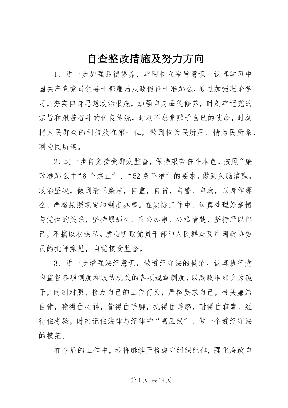 2023年自查整改措施及努力方向.docx_第1页