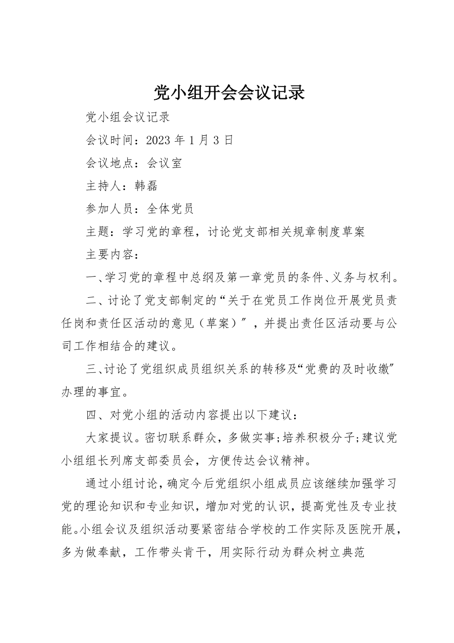 2023年党小组开会会议记录.docx_第1页