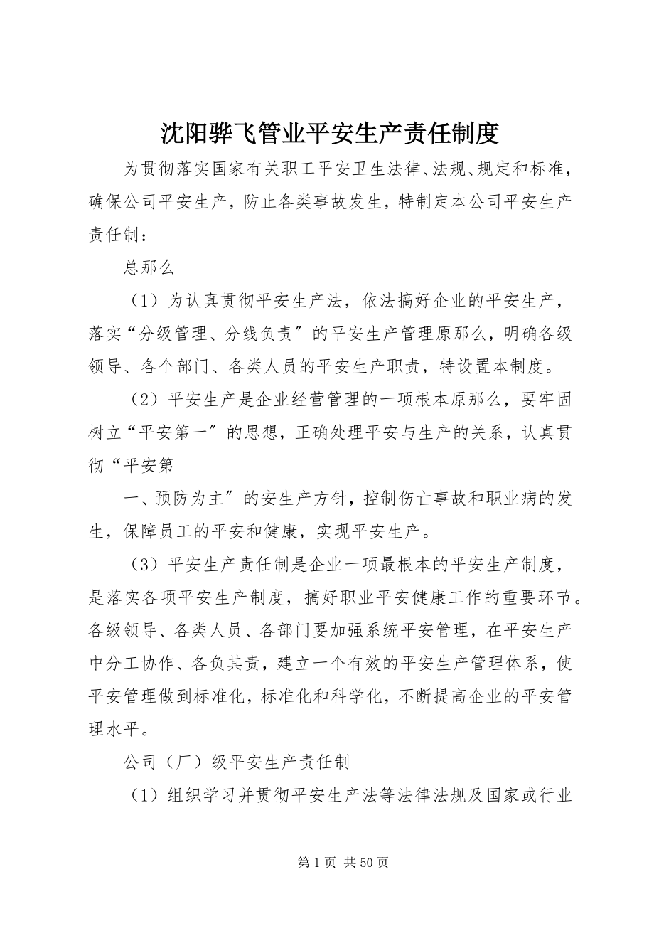 2023年沈阳骅飞管业安全生产责任制度.docx_第1页