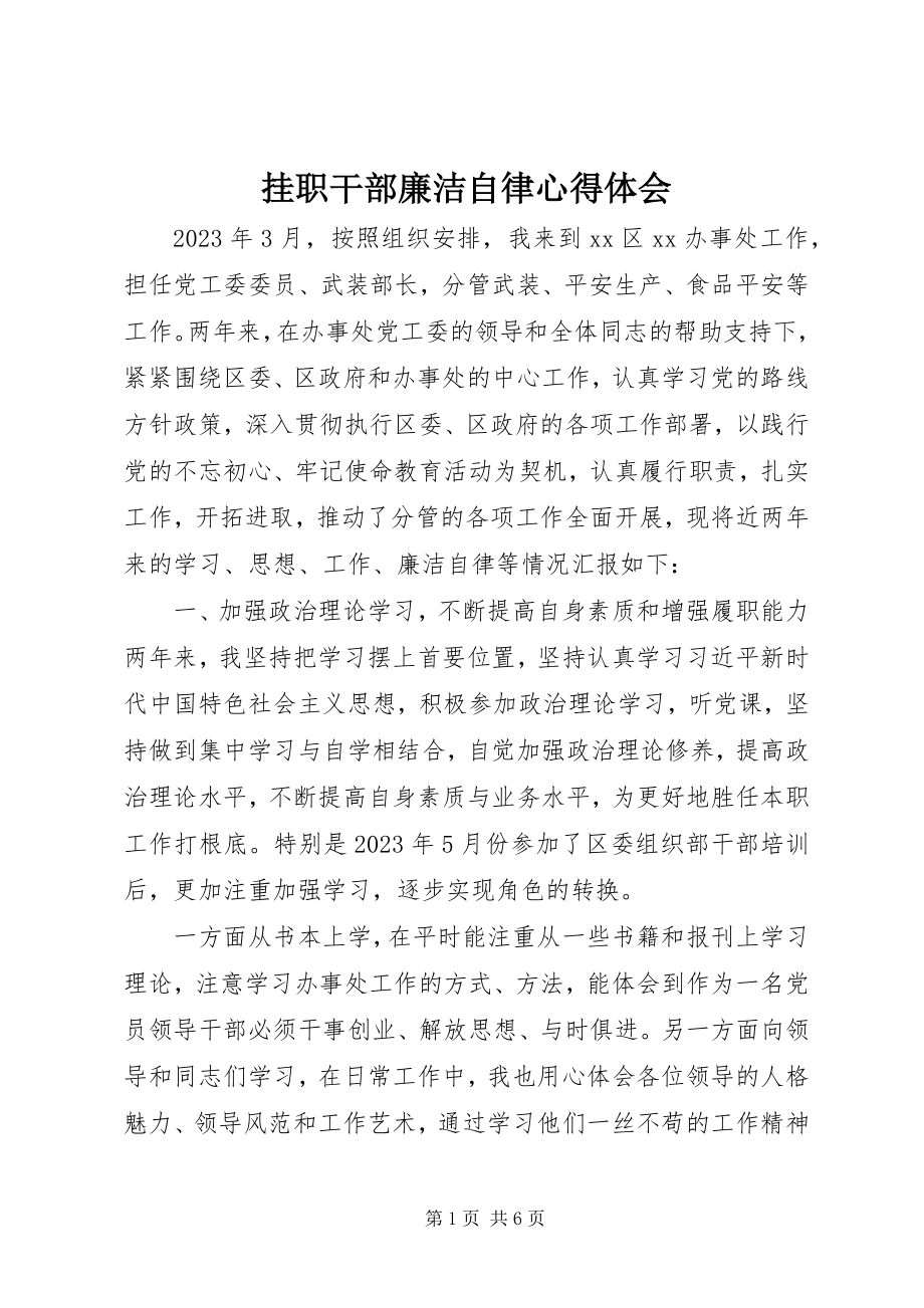 2023年挂职干部廉洁自律心得体会.docx_第1页