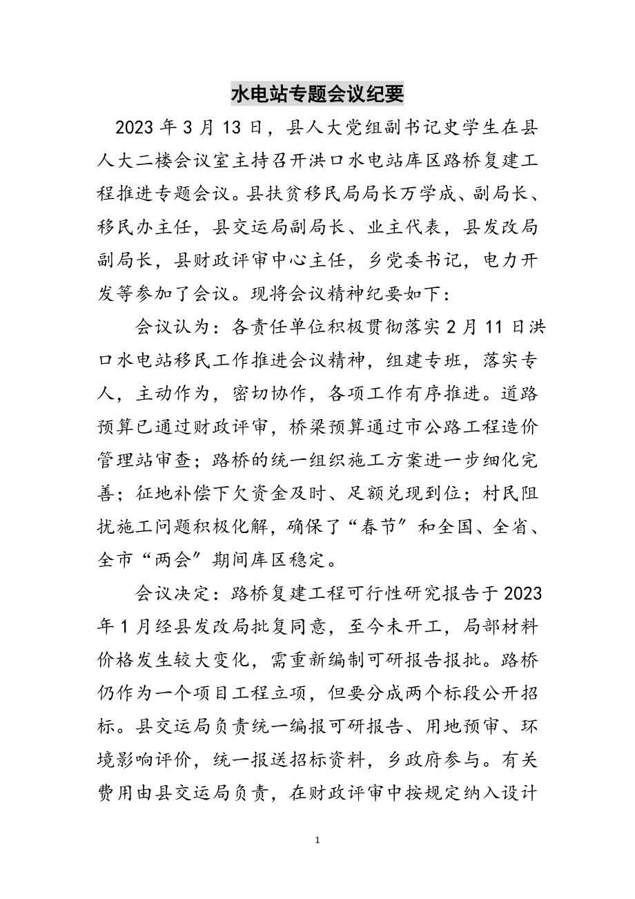 2023年水电站专题会议纪要范文.doc_第1页