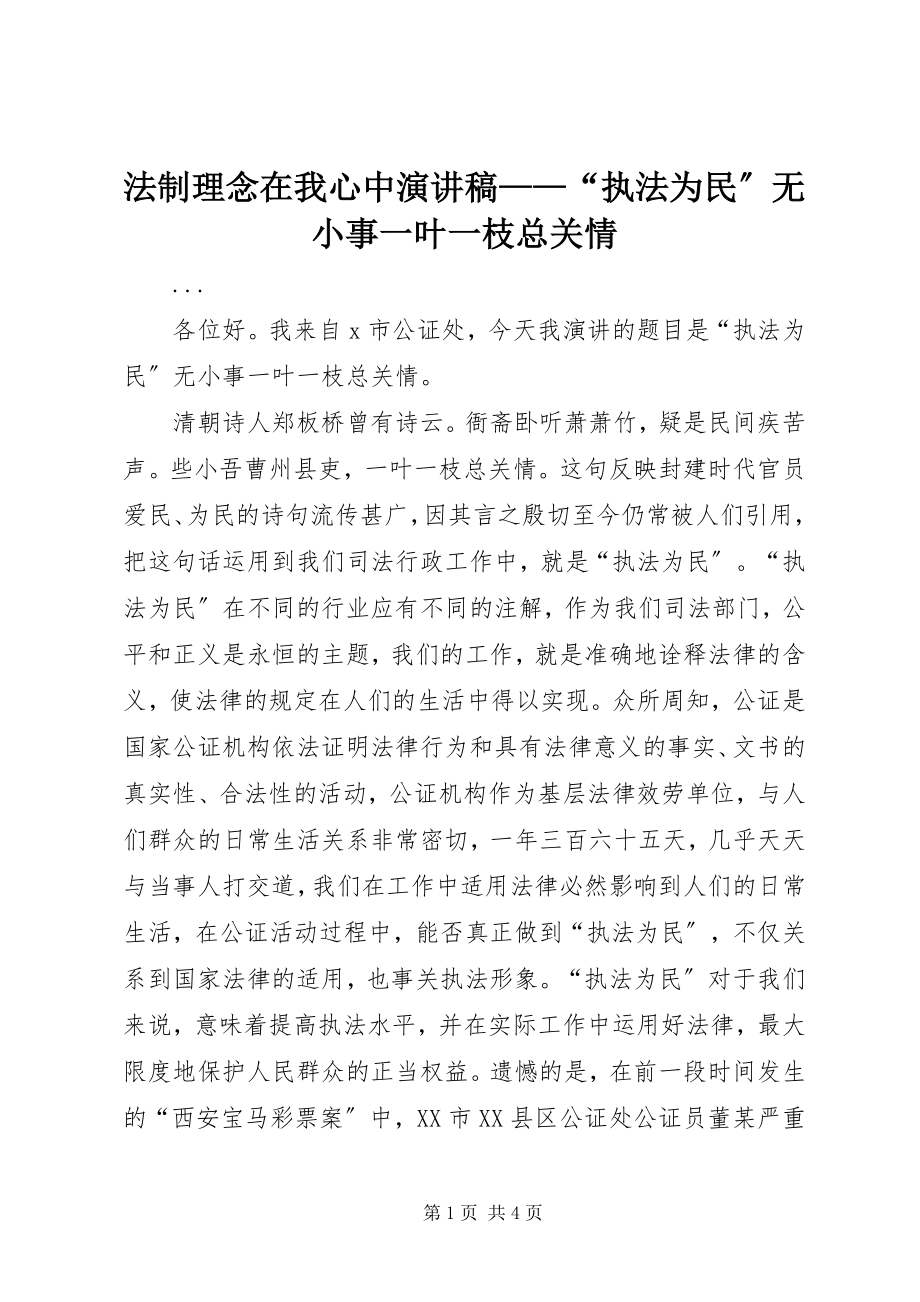 2023年法制理念在我心中演讲稿——“执法为民”无小事一叶一枝总关情.docx_第1页