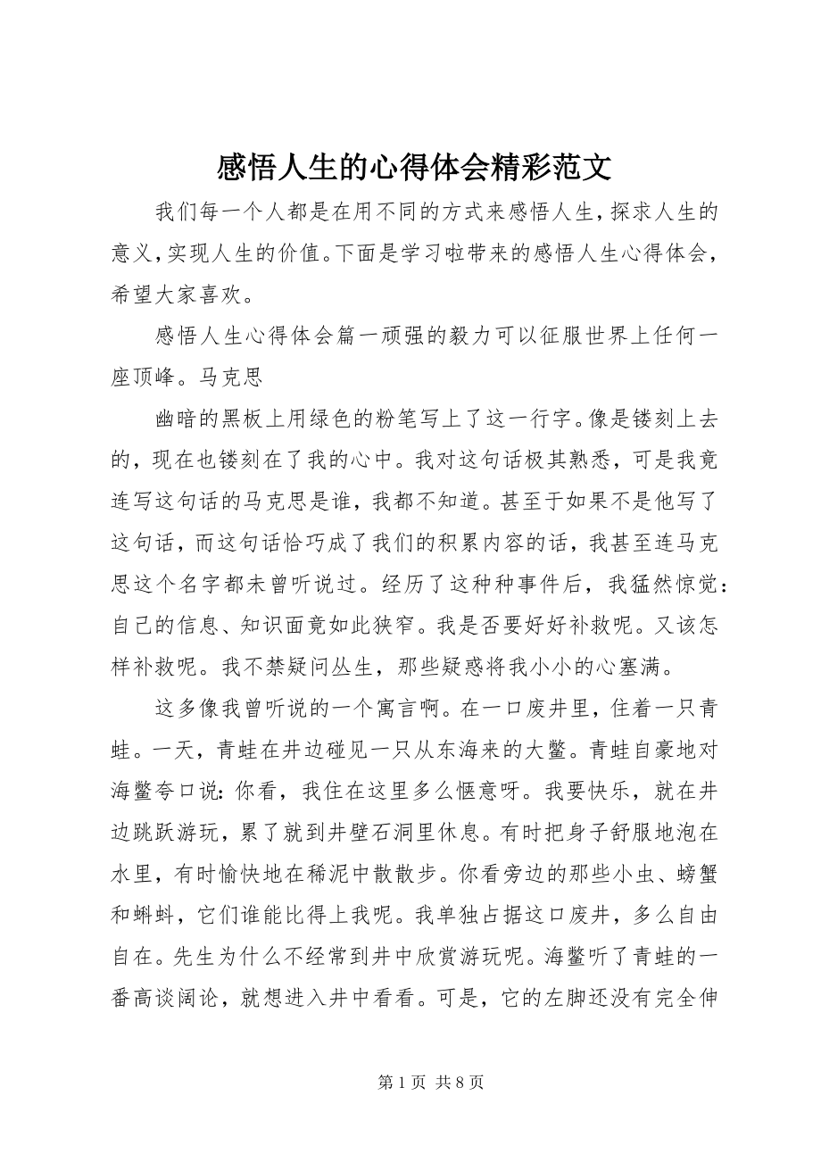 2023年感悟人生的心得体会精彩.docx_第1页