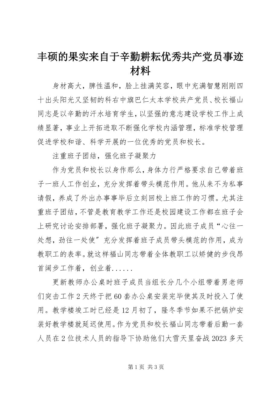 2023年丰硕的果实来自于辛勤耕耘优秀共产党员事迹材料.docx_第1页