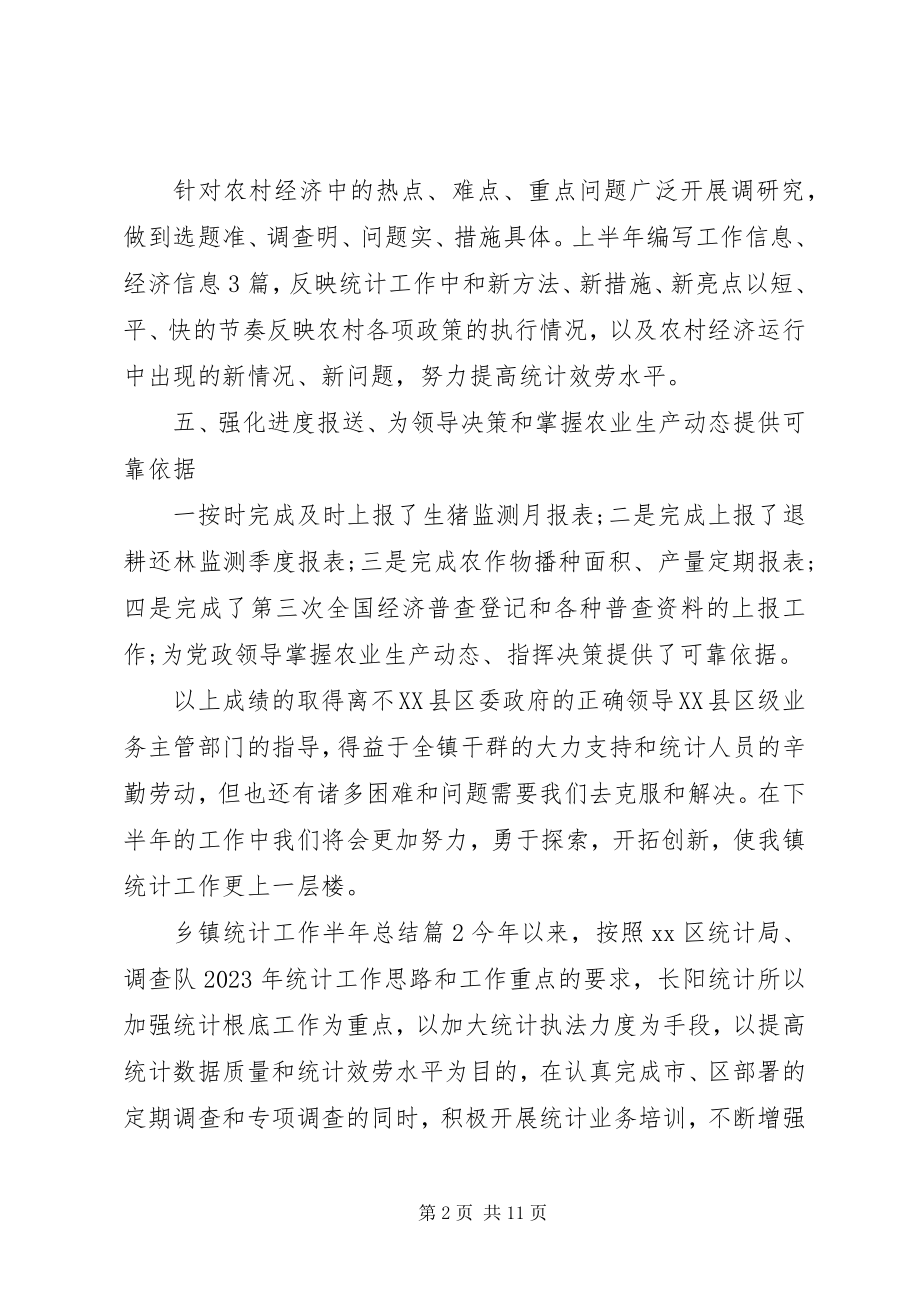 2023年乡镇统计工作半年总结三篇.docx_第2页