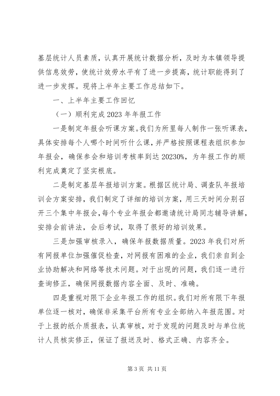 2023年乡镇统计工作半年总结三篇.docx_第3页