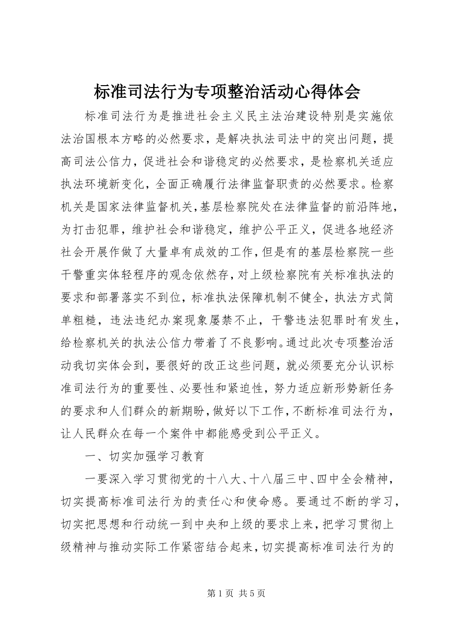 2023年规范司法行为专项整治活动心得体会.docx_第1页