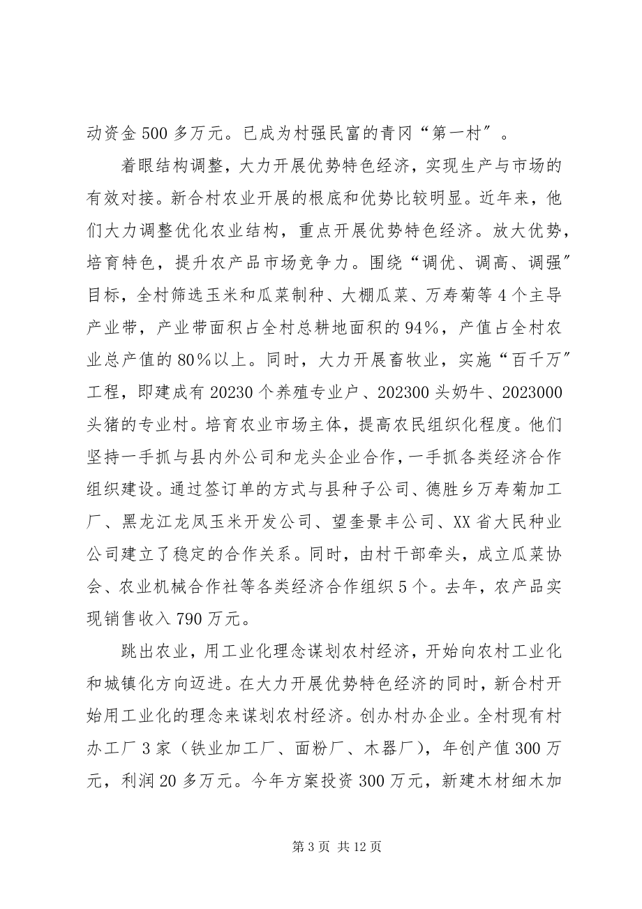 2023年省级文明村XX县区建设乡新合村加强村级党组.docx_第3页