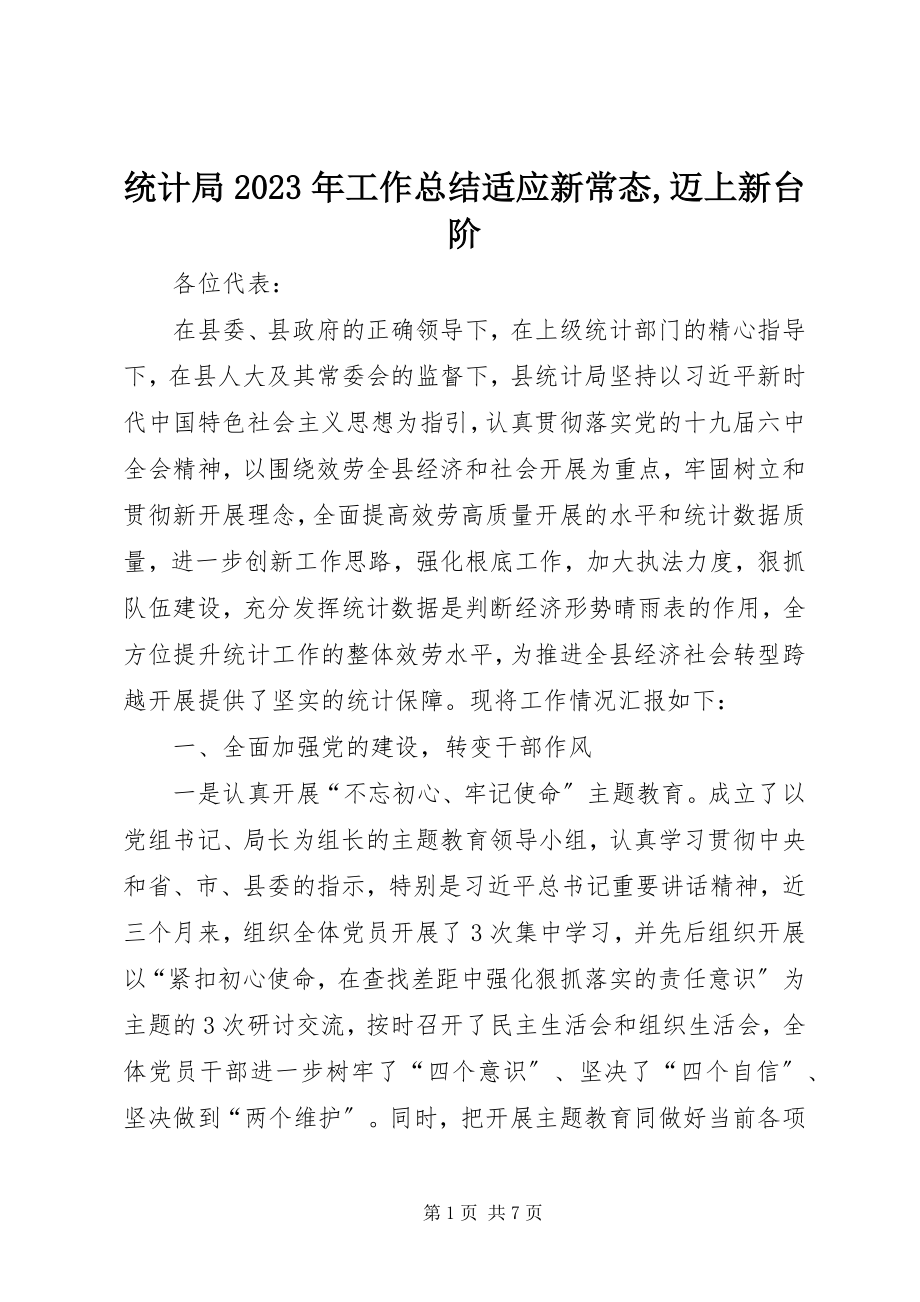 2023年统计局工作总结适应新常态迈上新台阶.docx_第1页