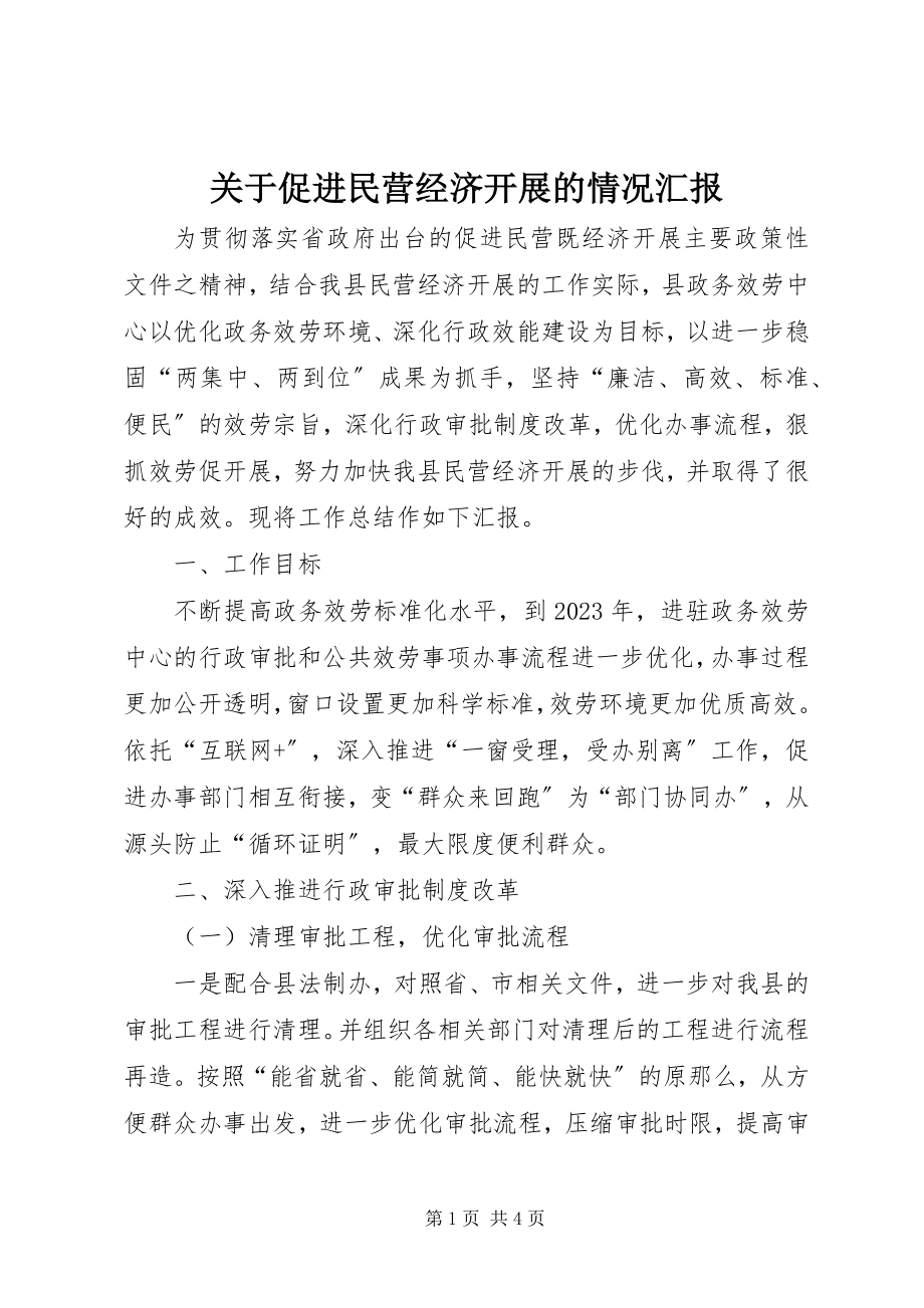 2023年促进民营经济发展的情况汇报.docx_第1页