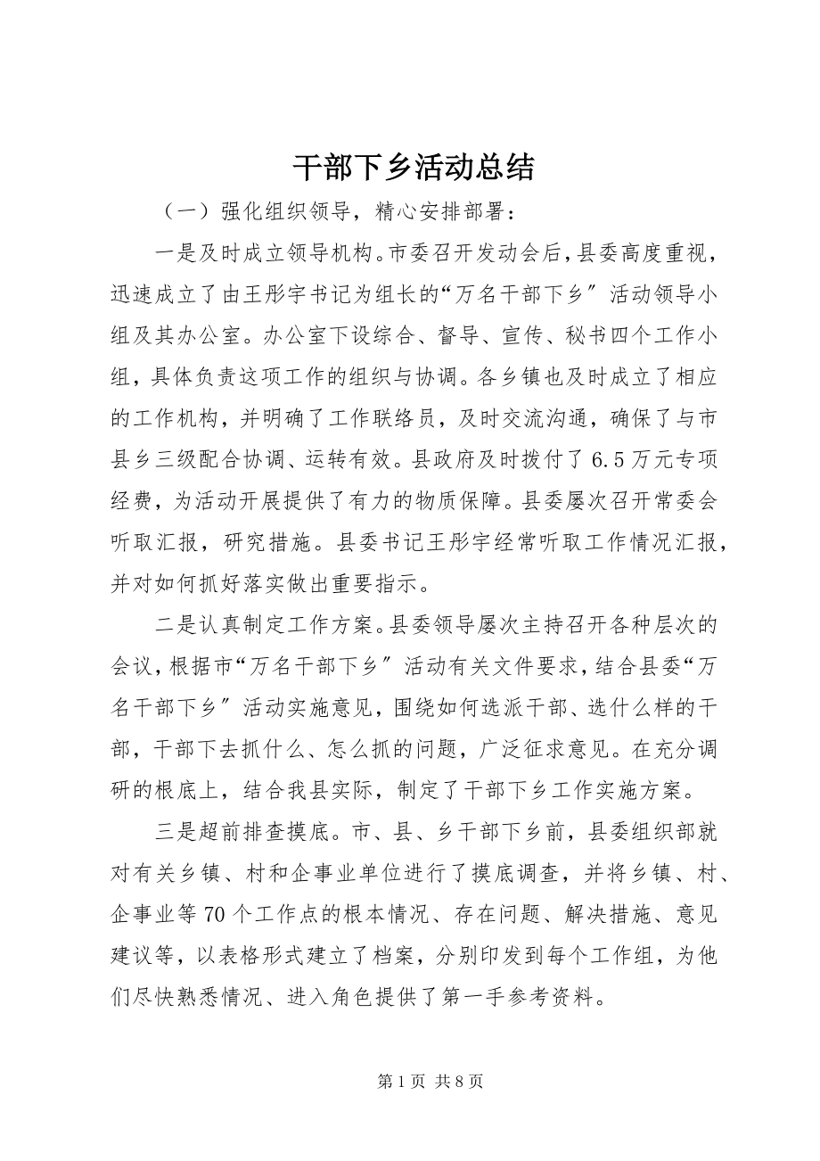 2023年干部下乡活动总结.docx_第1页