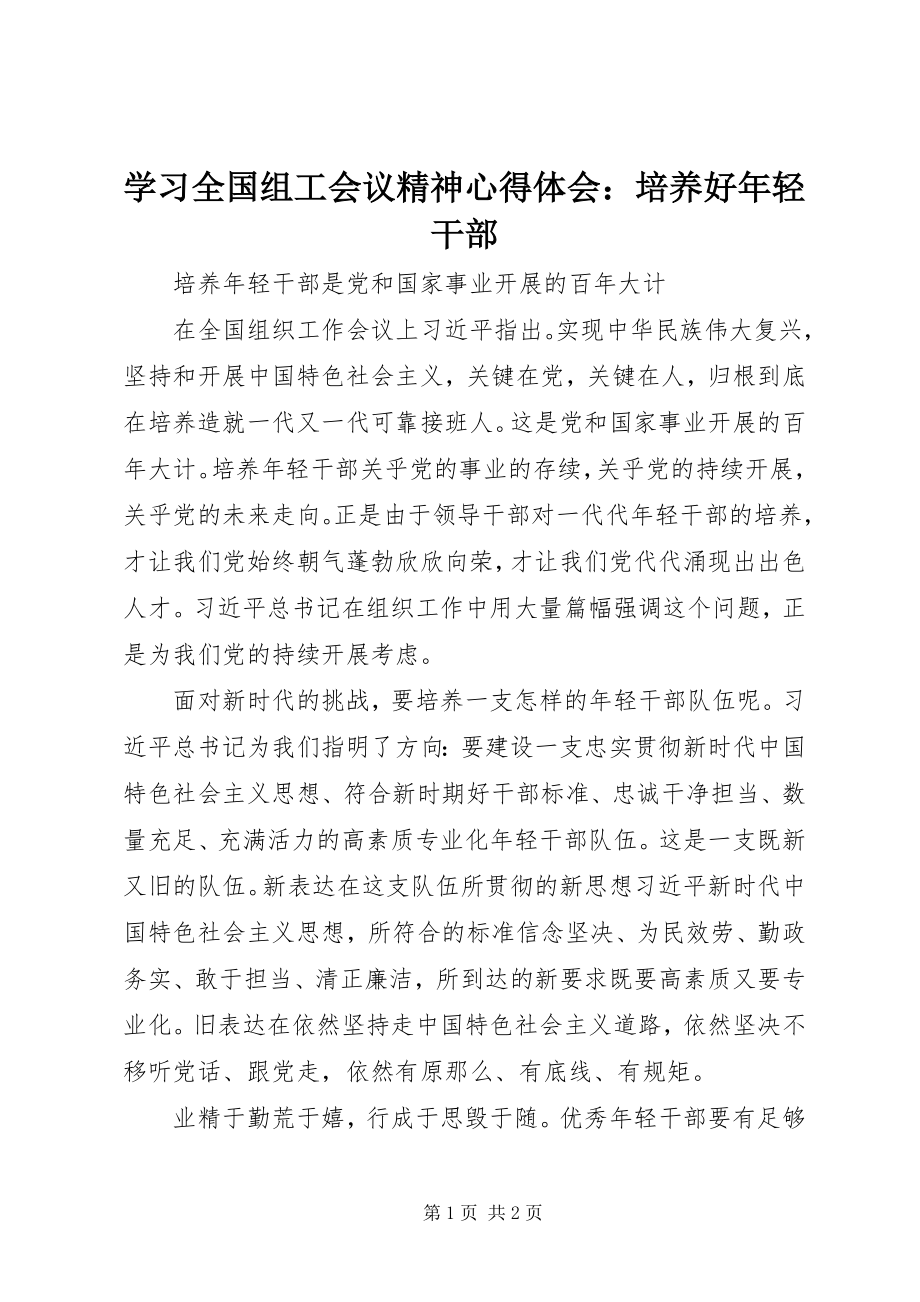 2023年学习全国组工会议精神心得体会培养好年轻干部.docx_第1页