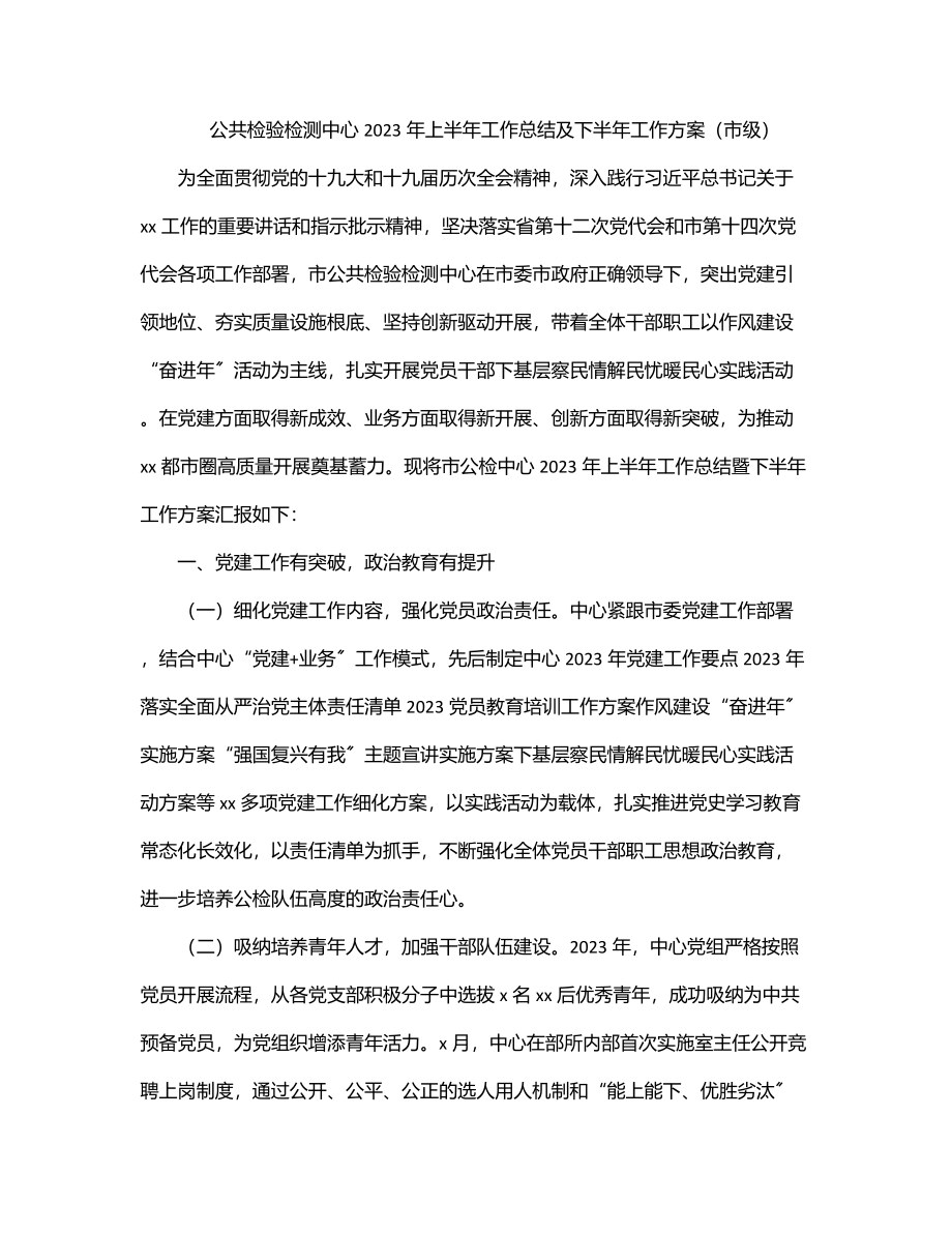 公共检验检测中心2023年上半年工作总结及下半年工作计划（市级）.docx_第1页