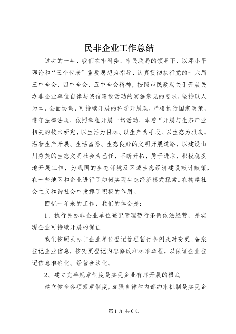 2023年民非企业工作总结.docx_第1页