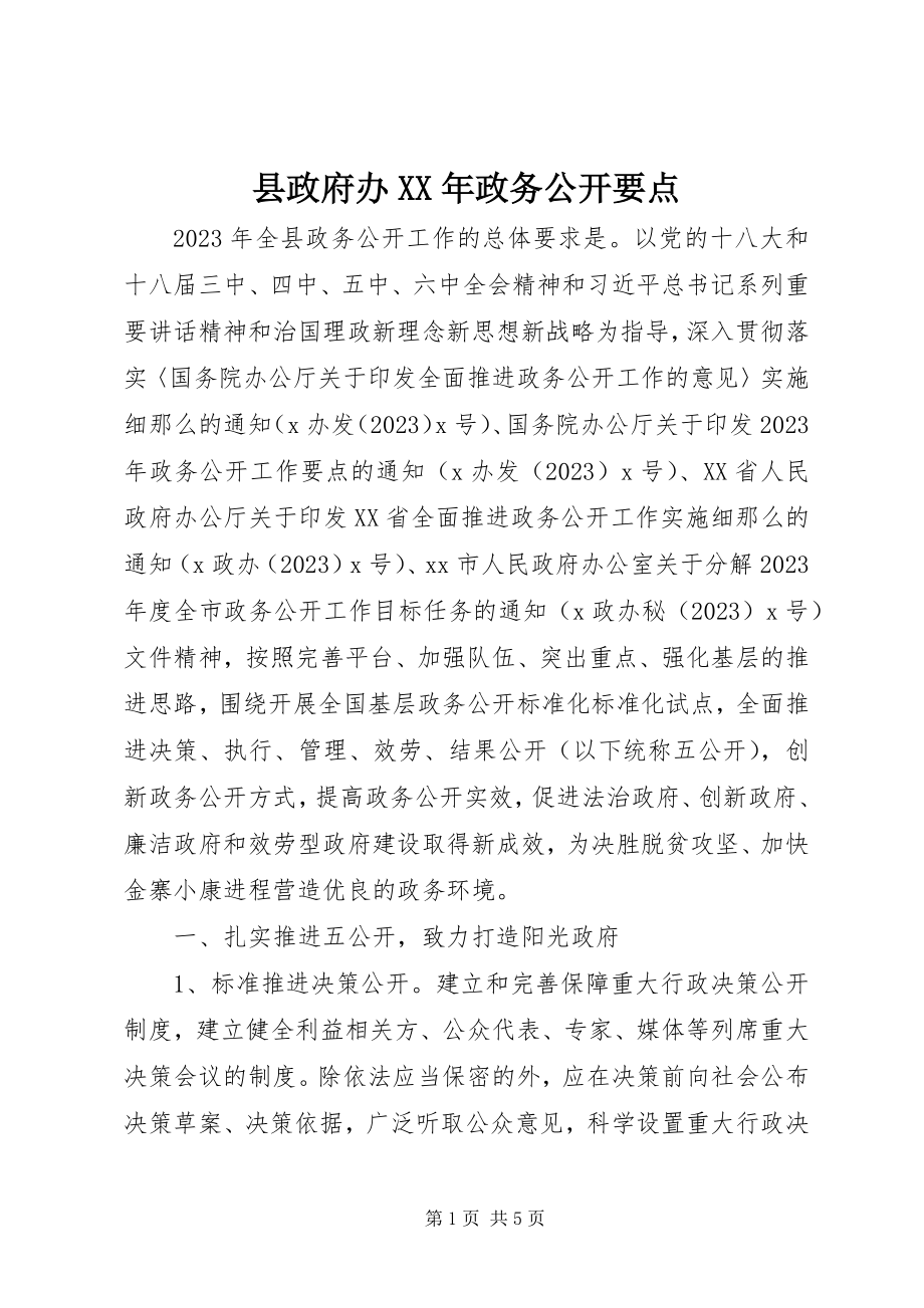 2023年县政府办政务公开要点.docx_第1页