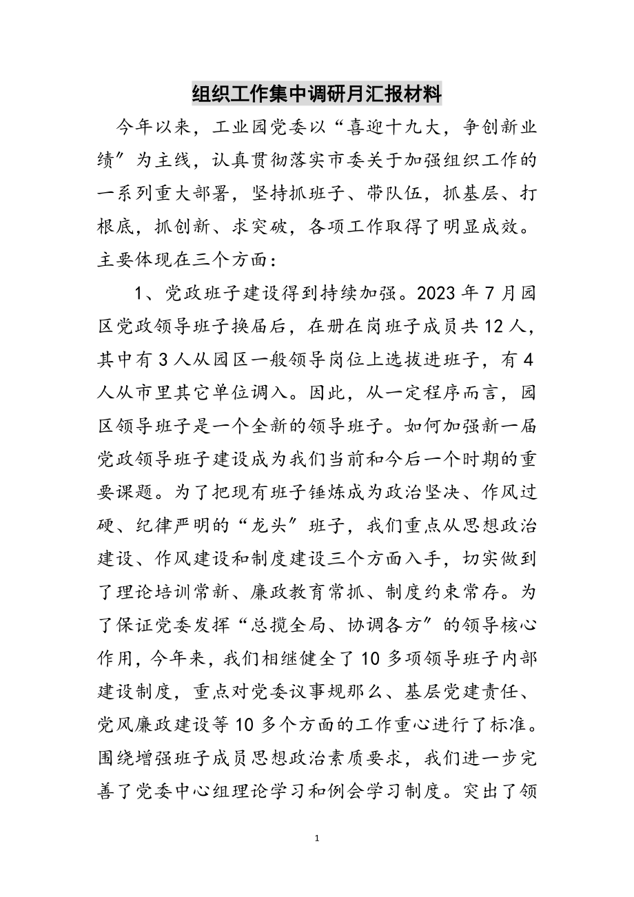 2023年组织工作集中调研月汇报材料范文.doc_第1页